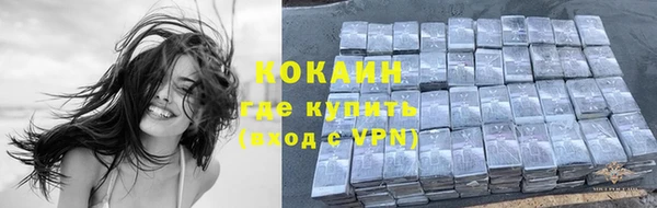 сатива Богородицк