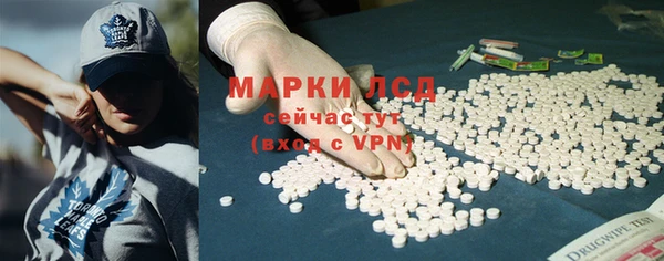 сатива Богородицк