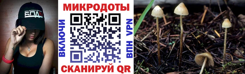Галлюциногенные грибы мицелий  Гудермес 