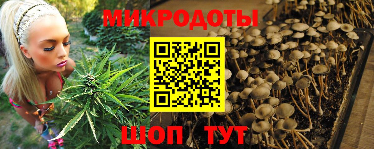 Галлюциногенные грибы MAGIC MUSHROOMS  Вход с VPN  Гудермес 