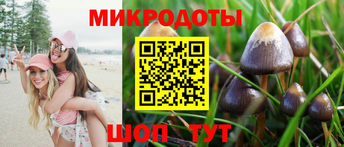 Псилоцибиновые грибы ЛСД Гудермес