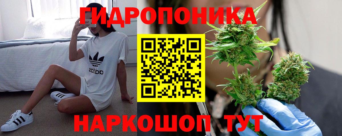 Гудермес  Каннабис тримм  Вход с VPN  МАРИХУАНА планчик  Каннабис планчик  Каннабис THC 21% 
